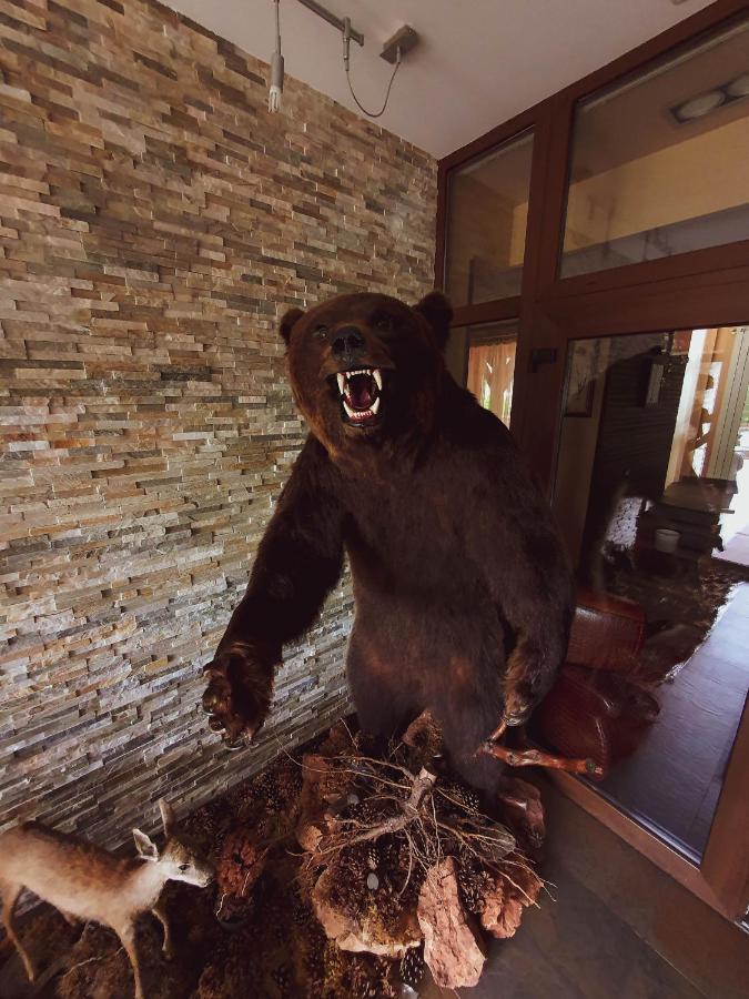 Hotel Belvedere Sovata Ngoại thất bức ảnh