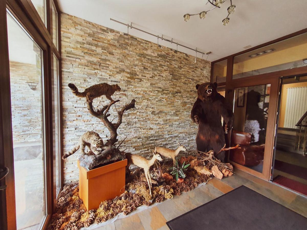 Hotel Belvedere Sovata Ngoại thất bức ảnh